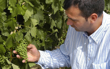 Carlos San Pedro, dueño y director técnico de la bodega