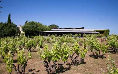 Viñedos de Raventós de Alella