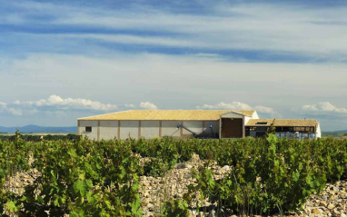 Vista de los suelos con el edificio de bodega al fondo