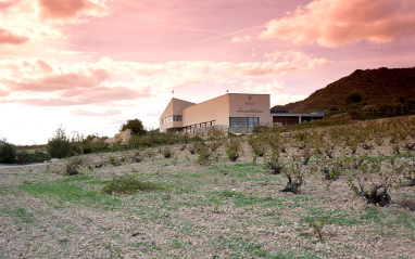 Viña y edificio de bodega al fondo