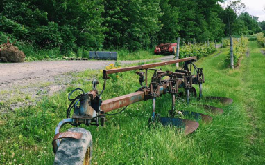 Trabajando la cubierta vegetal