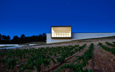 Imagen general de viñedo y bodega