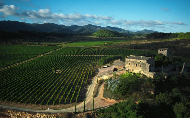 Masía junto a los viñedos de Torres