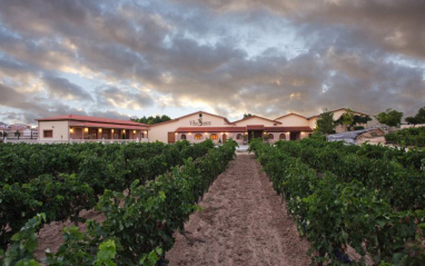 Panorámica de viñedos con bodega al fondo