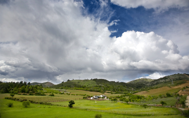 Los pastos verdes del Bierzo