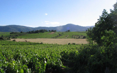 Panorámica del entorno en El Bierzo