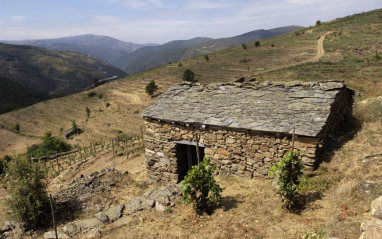 Pendiente típica de Ribeira Sacra