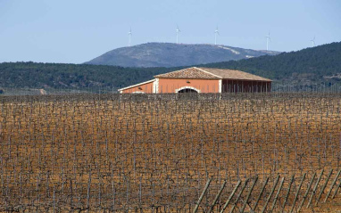 Viñedo y bodega.