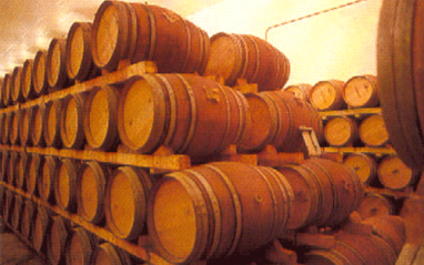 Barricas almacenadas