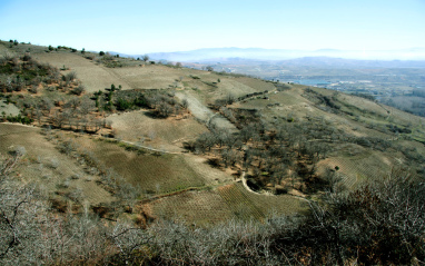 Paisaje montañoso que rodea a la bodega