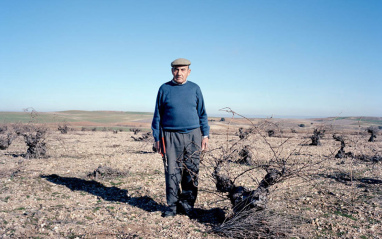 Clemente Rodriguez, La Grulla, Argujillo, Toro