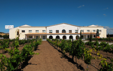 Panorámica de Bodega