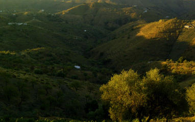 Vistas en los viñedos de Sedella