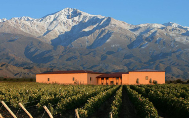 Bodega Cuvelier Los Andes