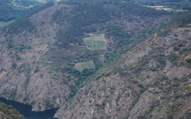 El viñedo de Santiorxo visto desde lejos