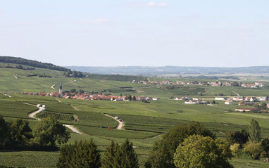 Vista general de los viñedos de Champagne.