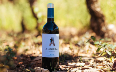 Botella de Alcorta Crianza en el viñedo