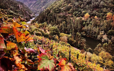 Paisaje de Ribeira Sacra