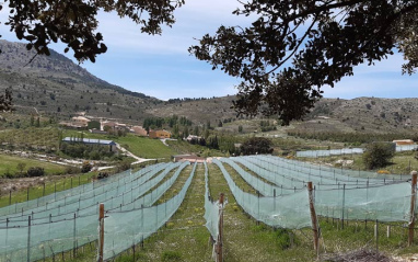 Bodega Alto de Inazares