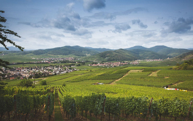 Viñedos Domaine Amélie & Charles Sparr