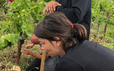 Equipo técnico del domaine Amélie & Charles Sparr