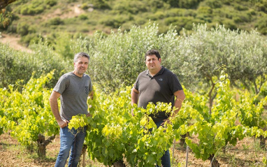 Los viñedos de Aseginolaza & Leunda