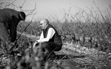 Xavier Ausás en el viñedo