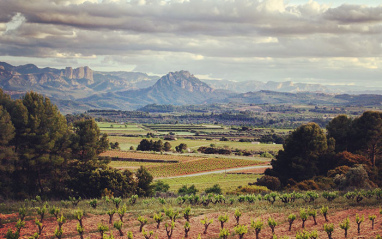 Entorno del Celler Bàrbara Forés