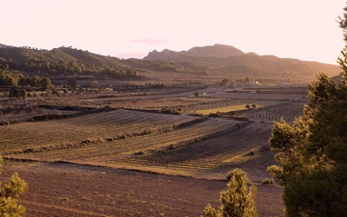 Paisaje del celler