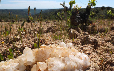 Proyecto en Arribes del Duero