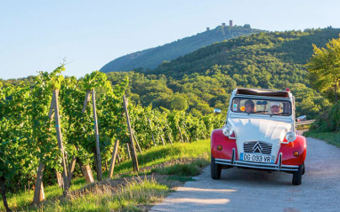 Los viñedos de Domaine Barmès-Buecher