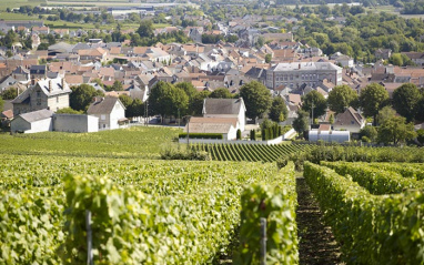 Paisaje de la región de Champagne