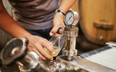 Trabajos en bodega