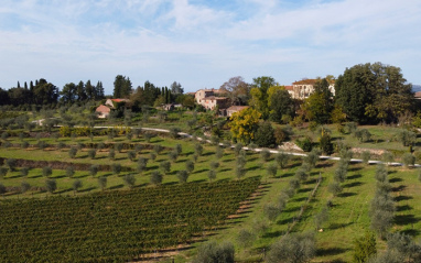 Finca Mocenni