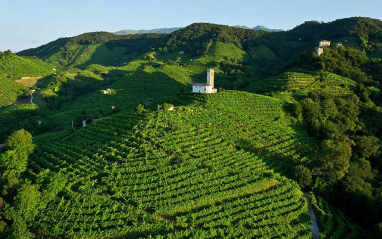 Panorámica de la zona