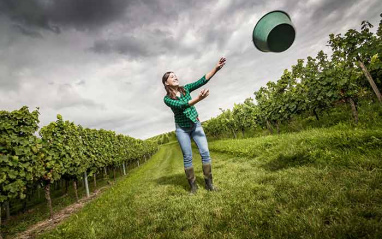Weingut Bretz