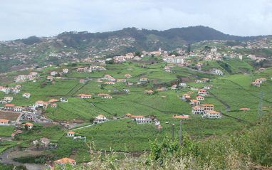 Panorámica de los viñedos