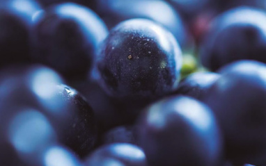 Uvas