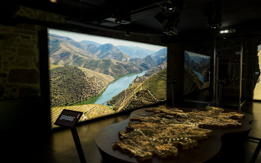 Vistas del Duero desde la bodega