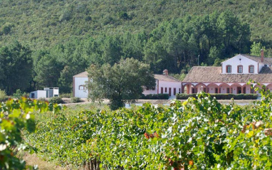 Entorno de la bodega en Retuerta del Bullaque