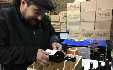 Trabajo en la bodega Vendimia en Casa Aurora