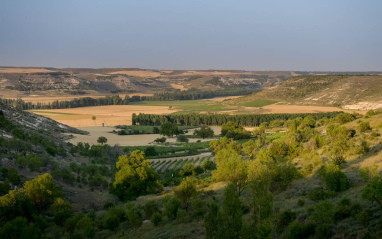 Panorámica del viñedo de Pago del Cielo