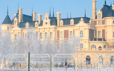 El castillo cubierto con nieve
