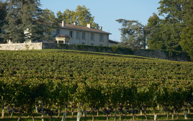 Viñedos Château Brassac
