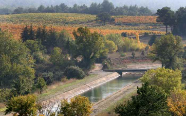 Río junto a los viñedos