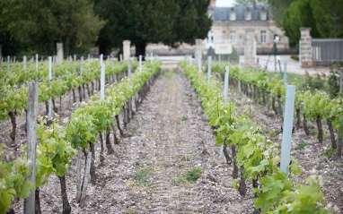 Château Beaumont