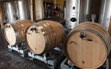 Château de Haut Coulon