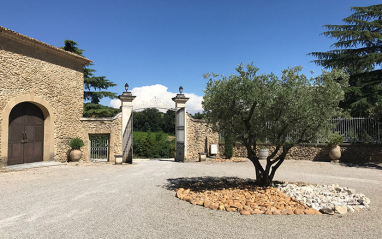 Vista del acceso al viñedo