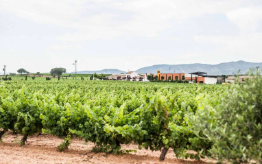 Viñedo de Chozas Carrascal