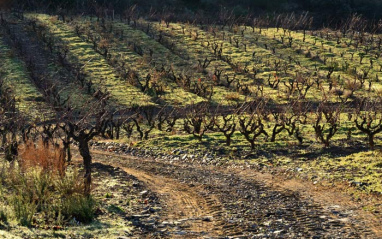 Clos de l'Obac